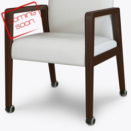 Product feature image